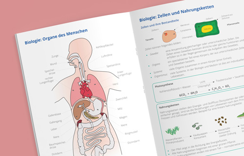 Individuell für die Schule erstelltes Schulheft für den Biologie-Unterricht