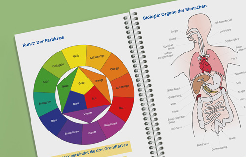 Fertige Seiten in Farbe mit dem Farbkreis aus dem Kunstunterricht und den Organen des Menschen aus dem Biologieunterricht